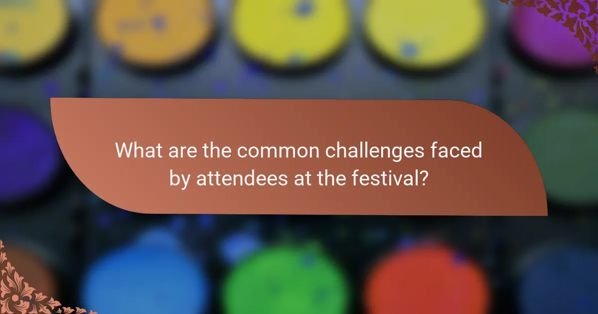 What are the common challenges faced by attendees at the festival?