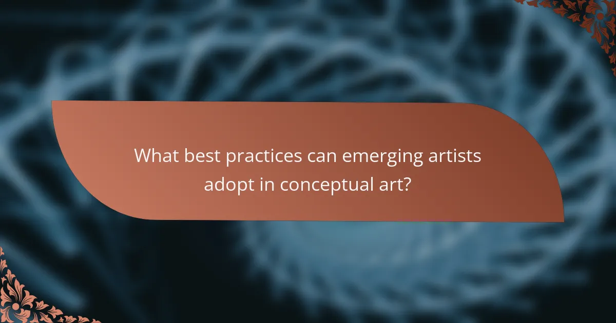 What best practices can emerging artists adopt in conceptual art?