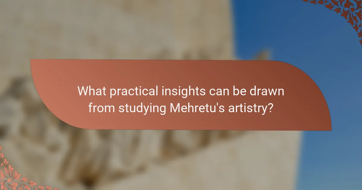 What practical insights can be drawn from studying Mehretu's artistry?